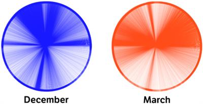 Where Are the Months? Mental Images of Circular Time in a Large Online Sample